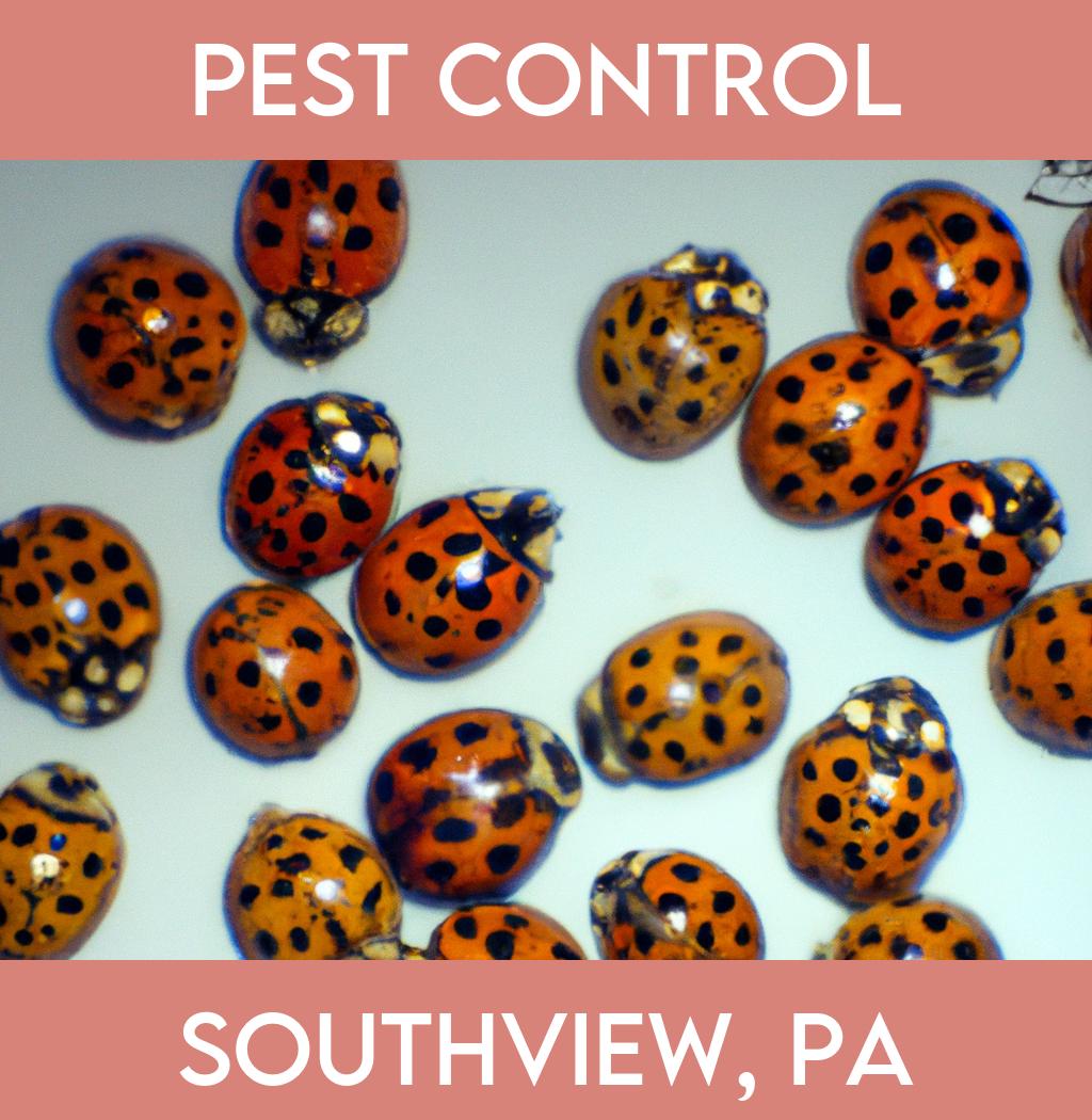 pest control in Southview Pennsylvania