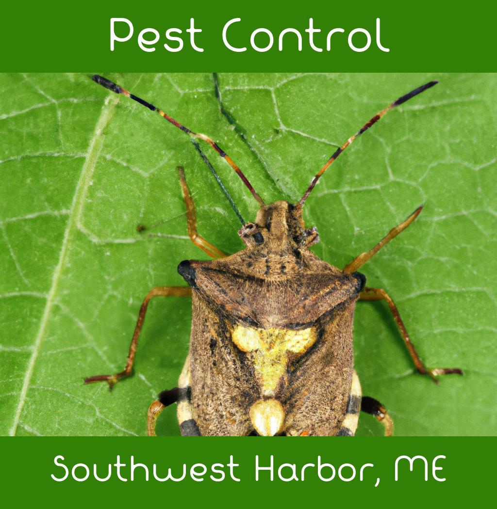 pest control in Southwest Harbor Maine