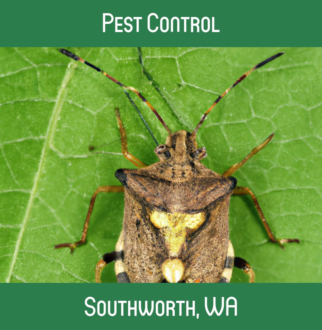 pest control in Southworth Washington