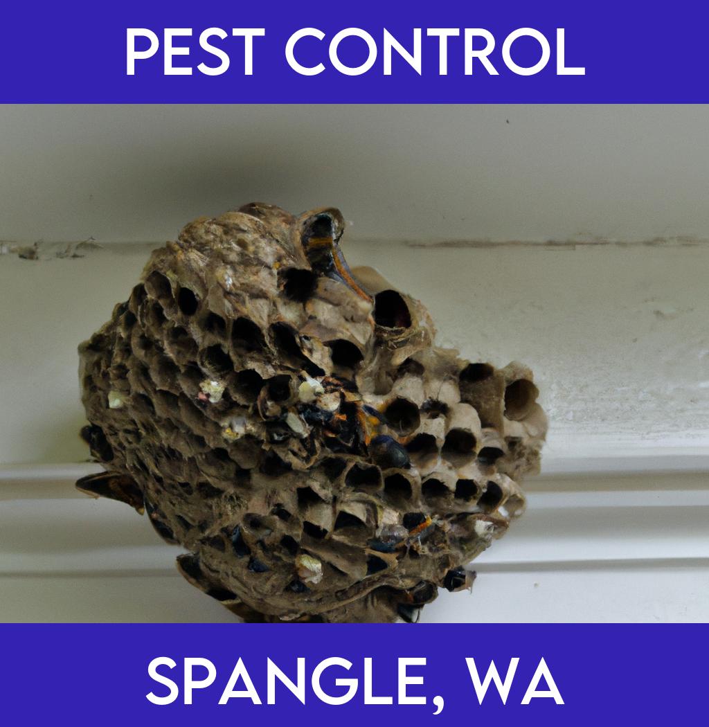 pest control in Spangle Washington