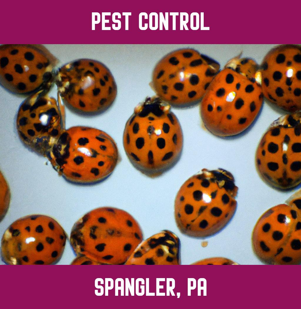 pest control in Spangler Pennsylvania