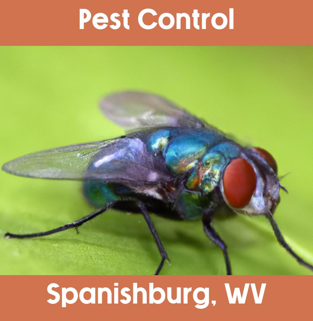 pest control in Spanishburg West Virginia