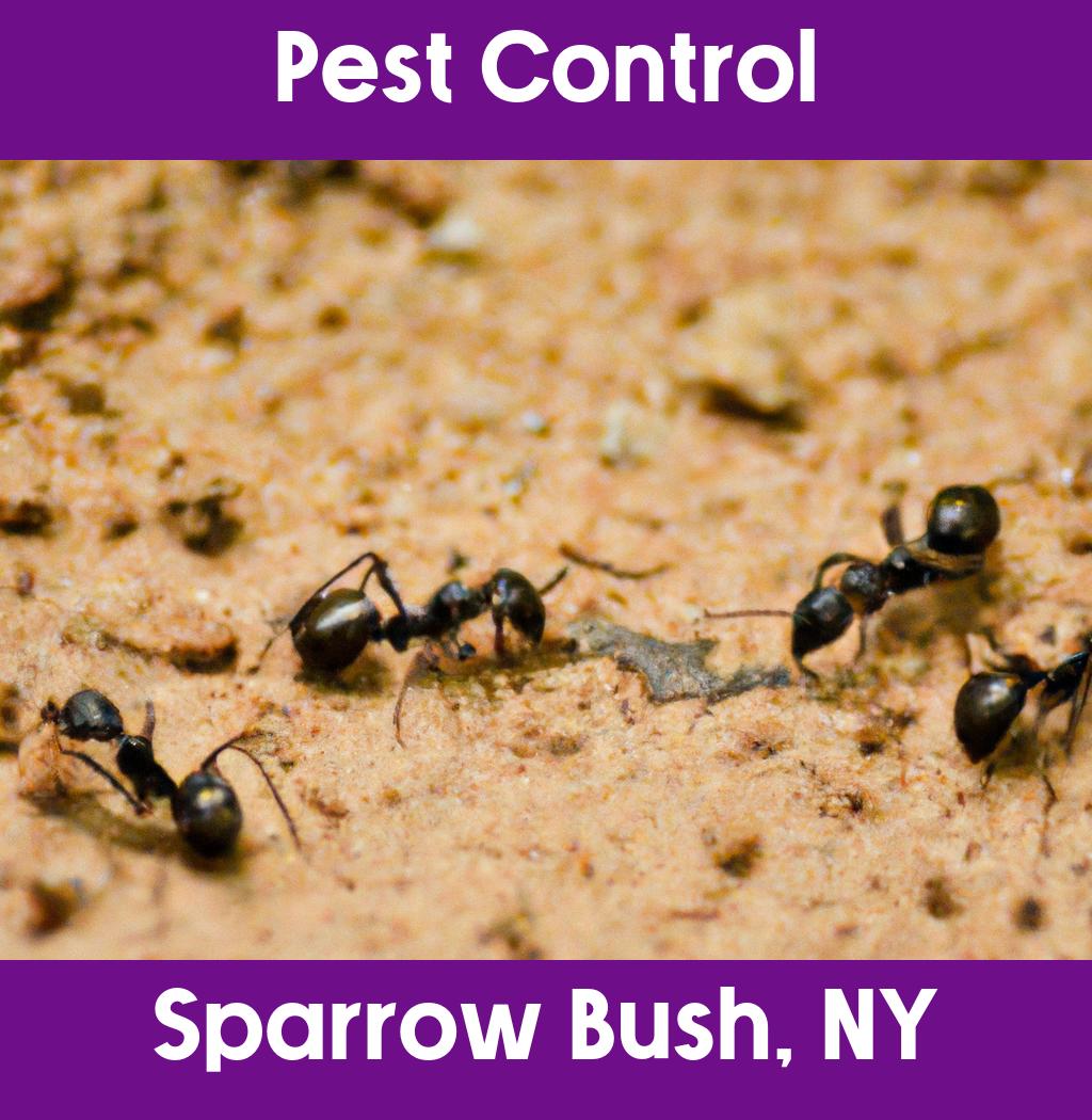 pest control in Sparrow Bush New York