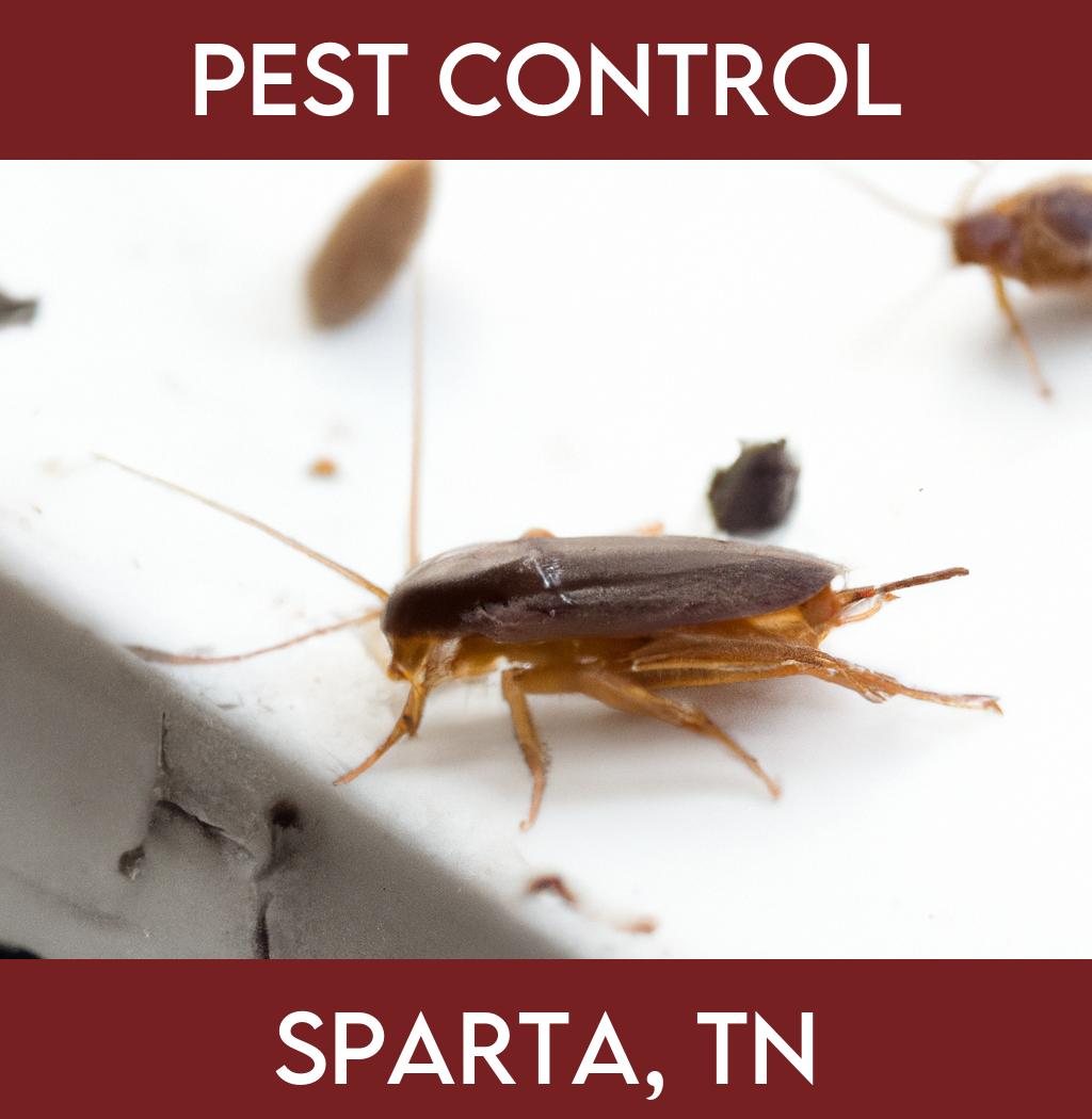 pest control in Sparta Tennessee