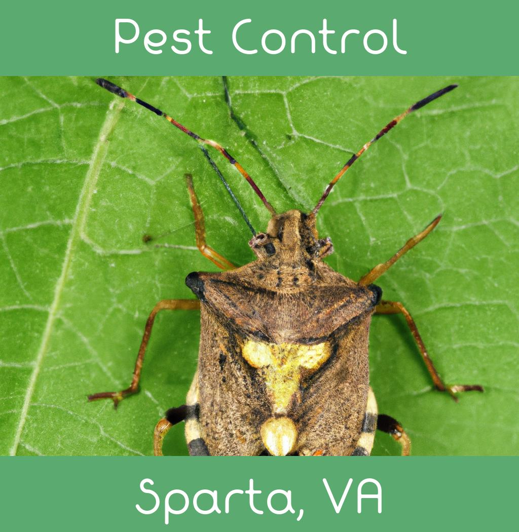 pest control in Sparta Virginia