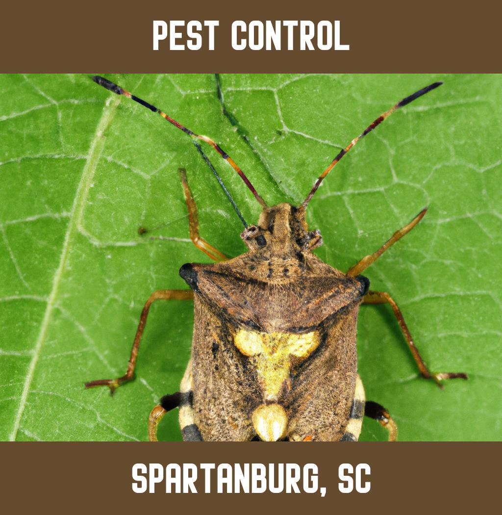 pest control in Spartanburg South Carolina