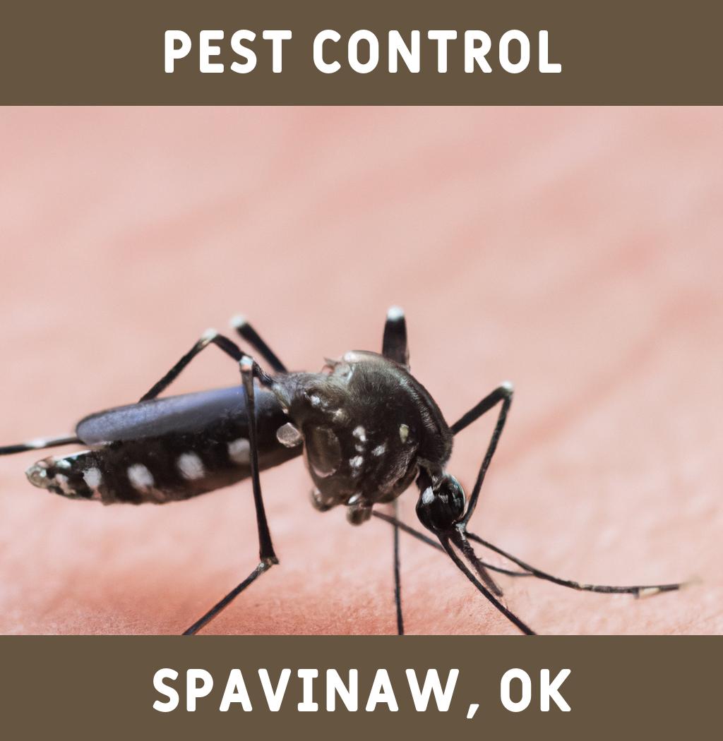 pest control in Spavinaw Oklahoma