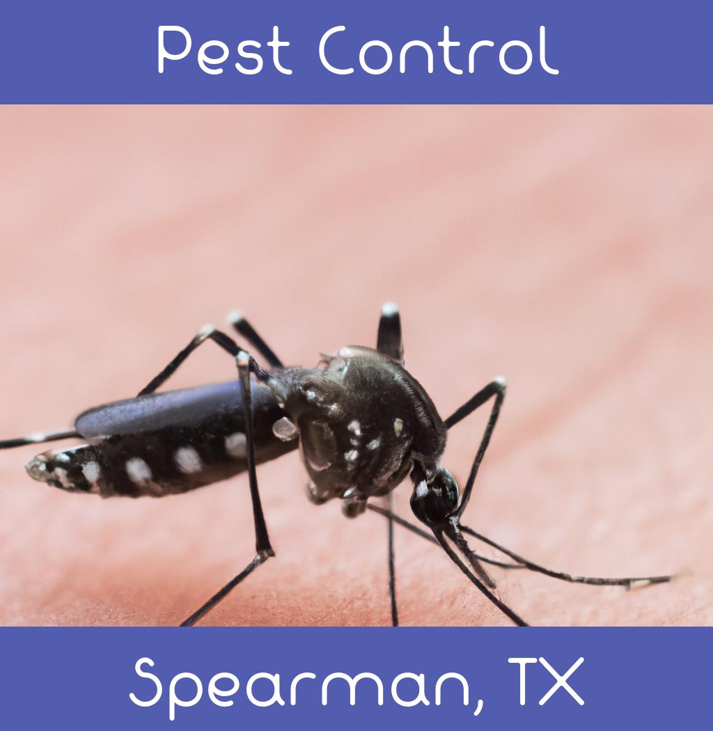pest control in Spearman Texas