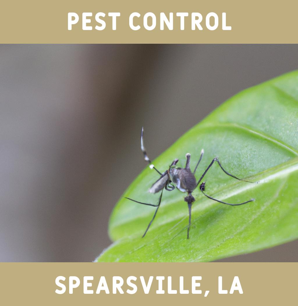 pest control in Spearsville Louisiana