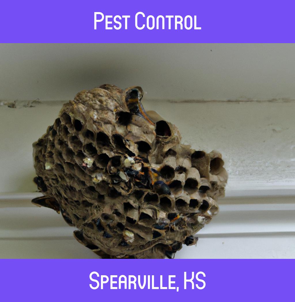 pest control in Spearville Kansas