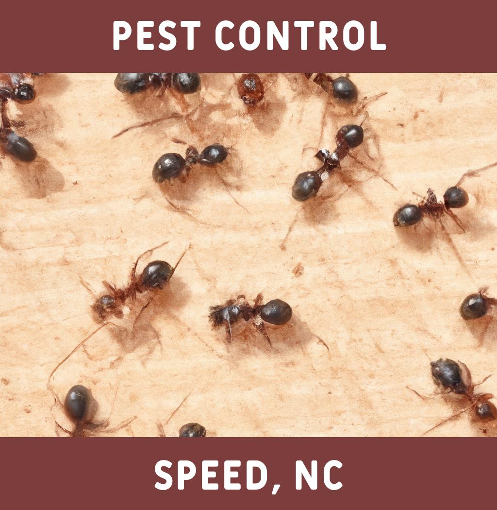 pest control in Speed North Carolina