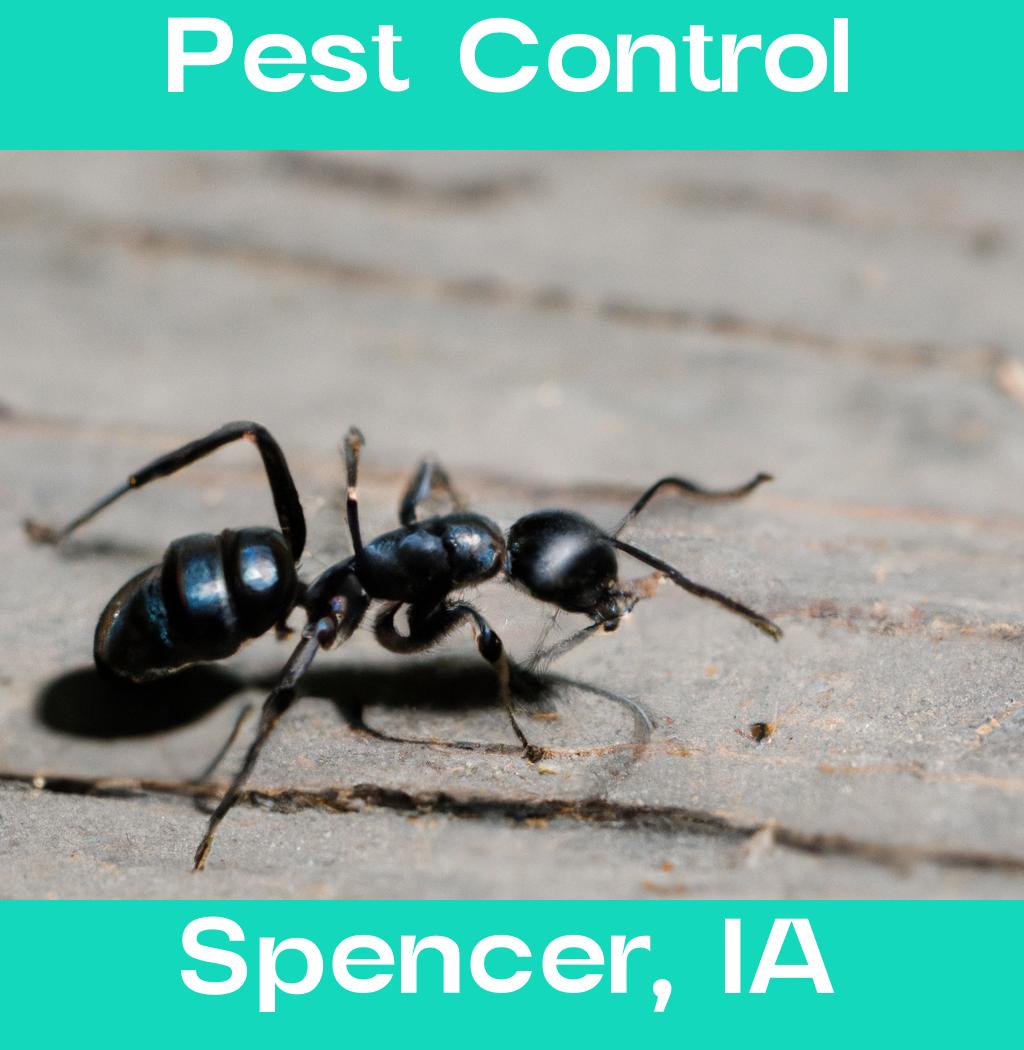 pest control in Spencer Iowa