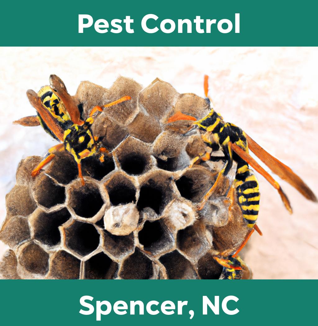 pest control in Spencer North Carolina