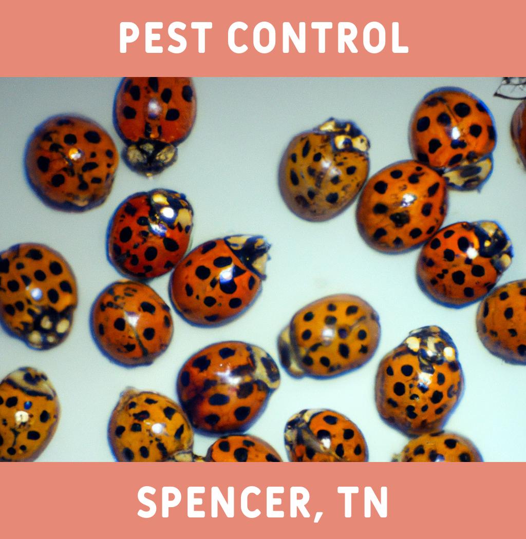 pest control in Spencer Tennessee