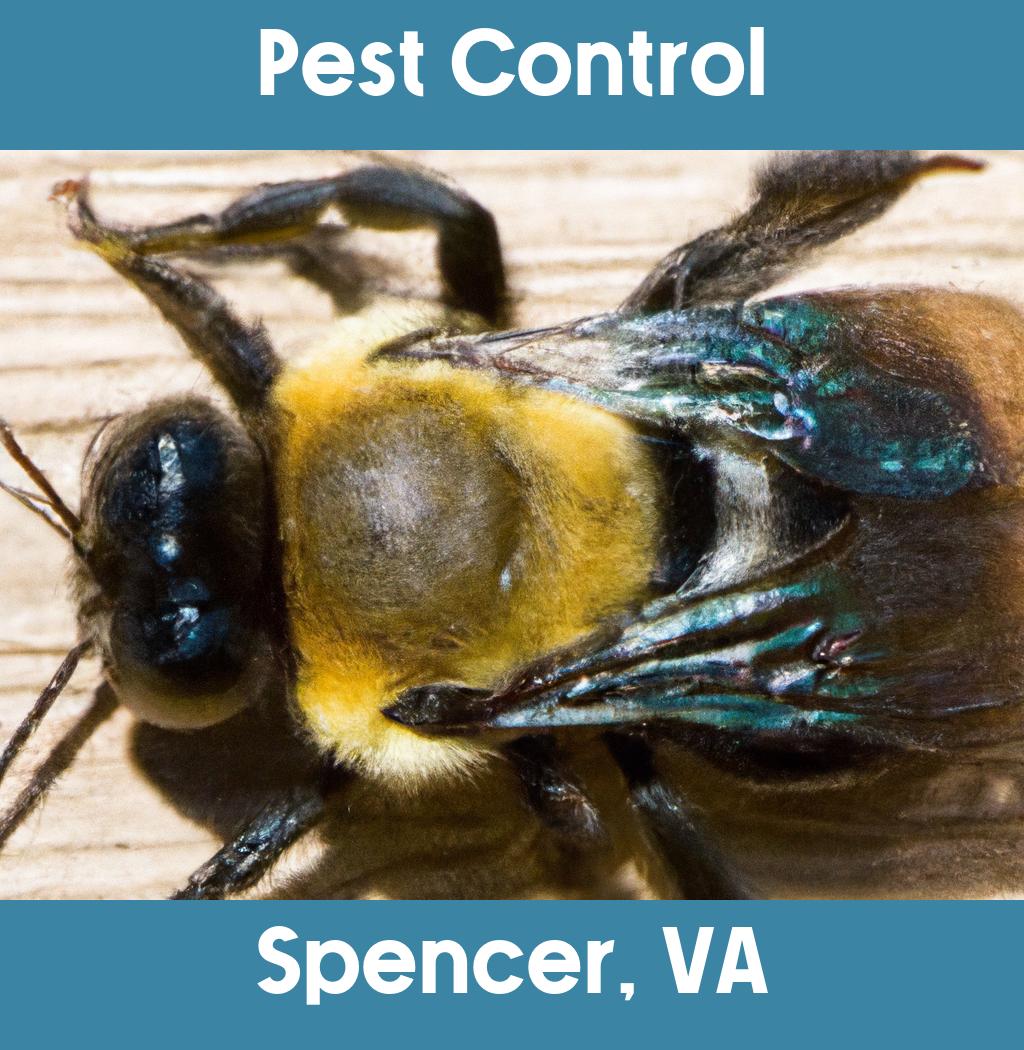 pest control in Spencer Virginia