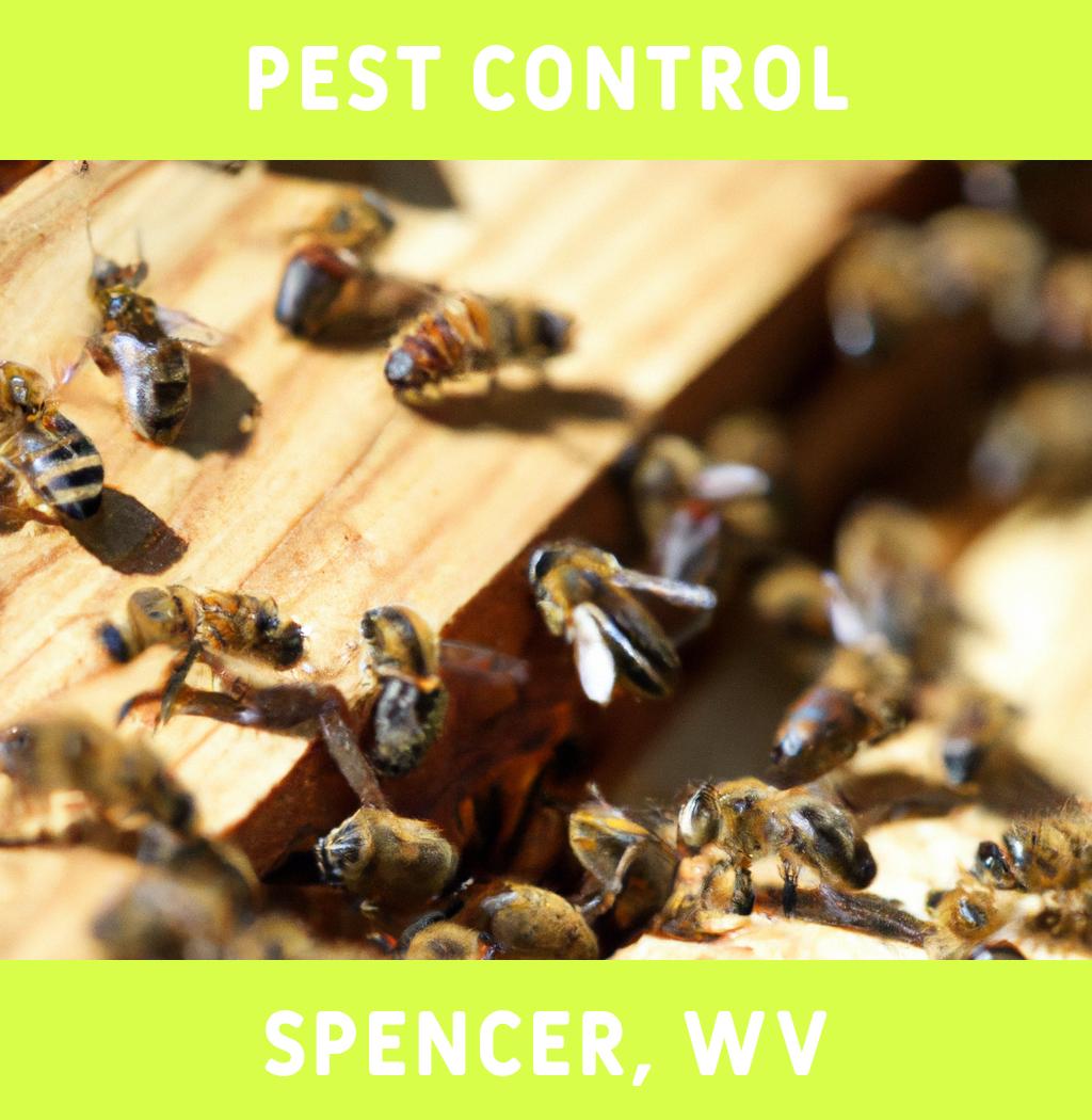 pest control in Spencer West Virginia