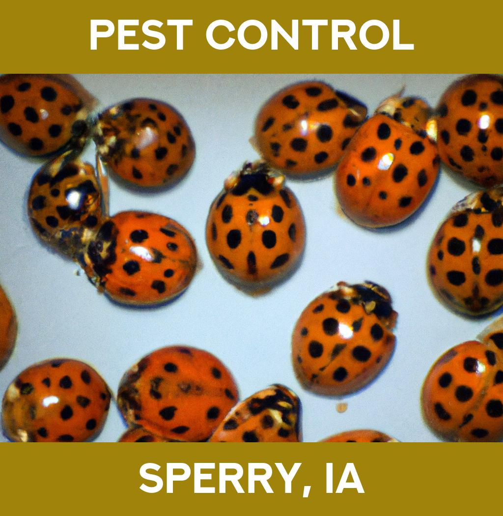 pest control in Sperry Iowa