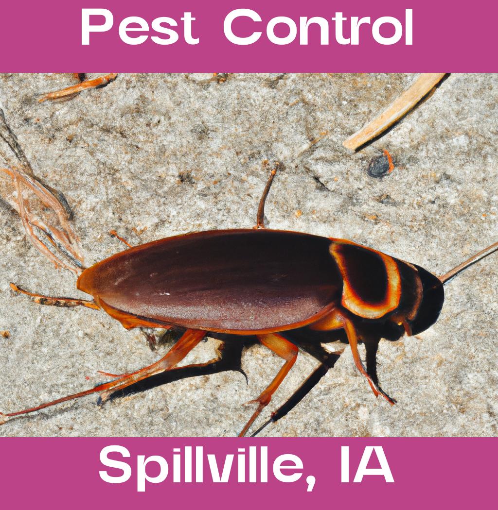 pest control in Spillville Iowa