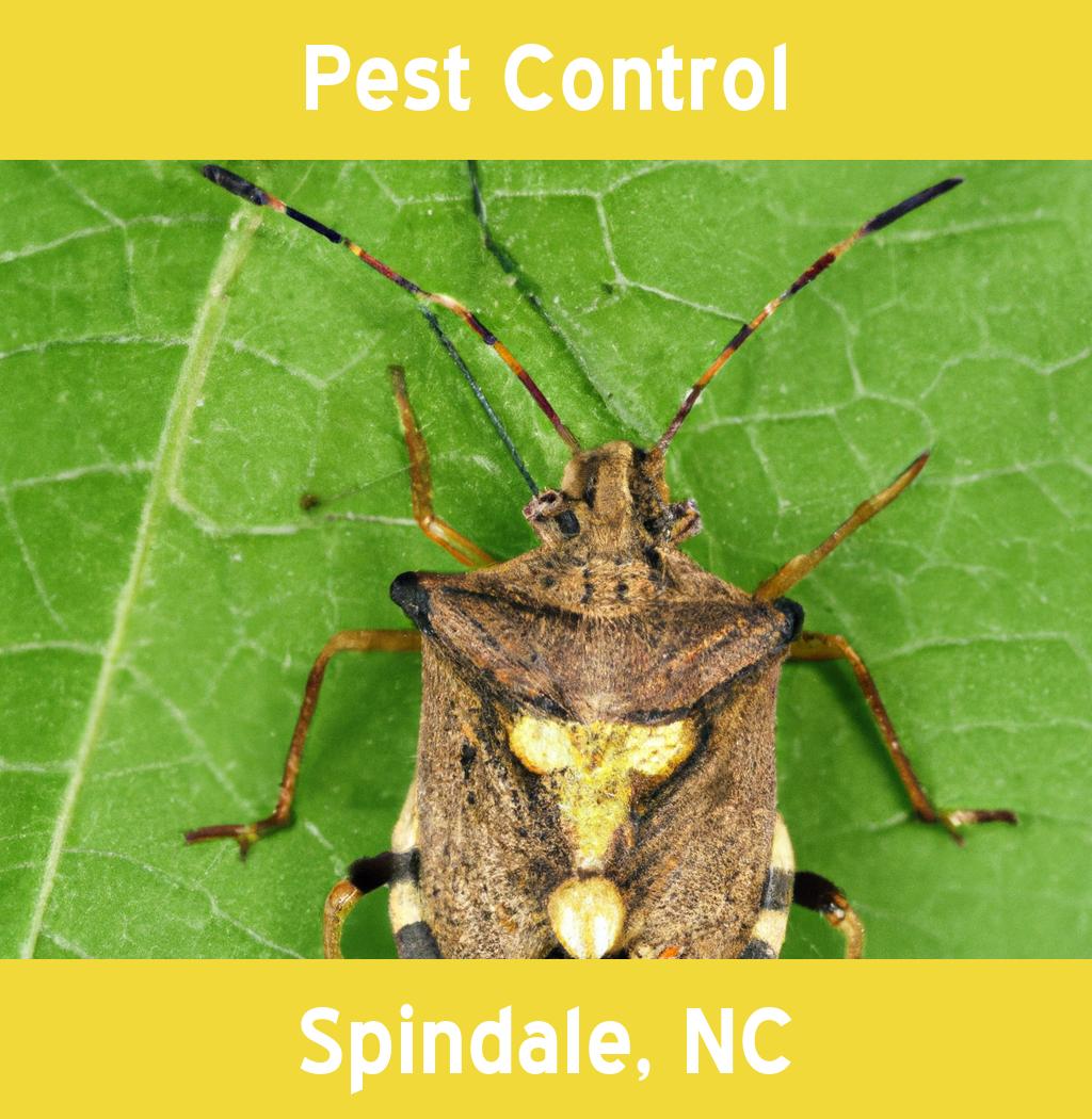 pest control in Spindale North Carolina