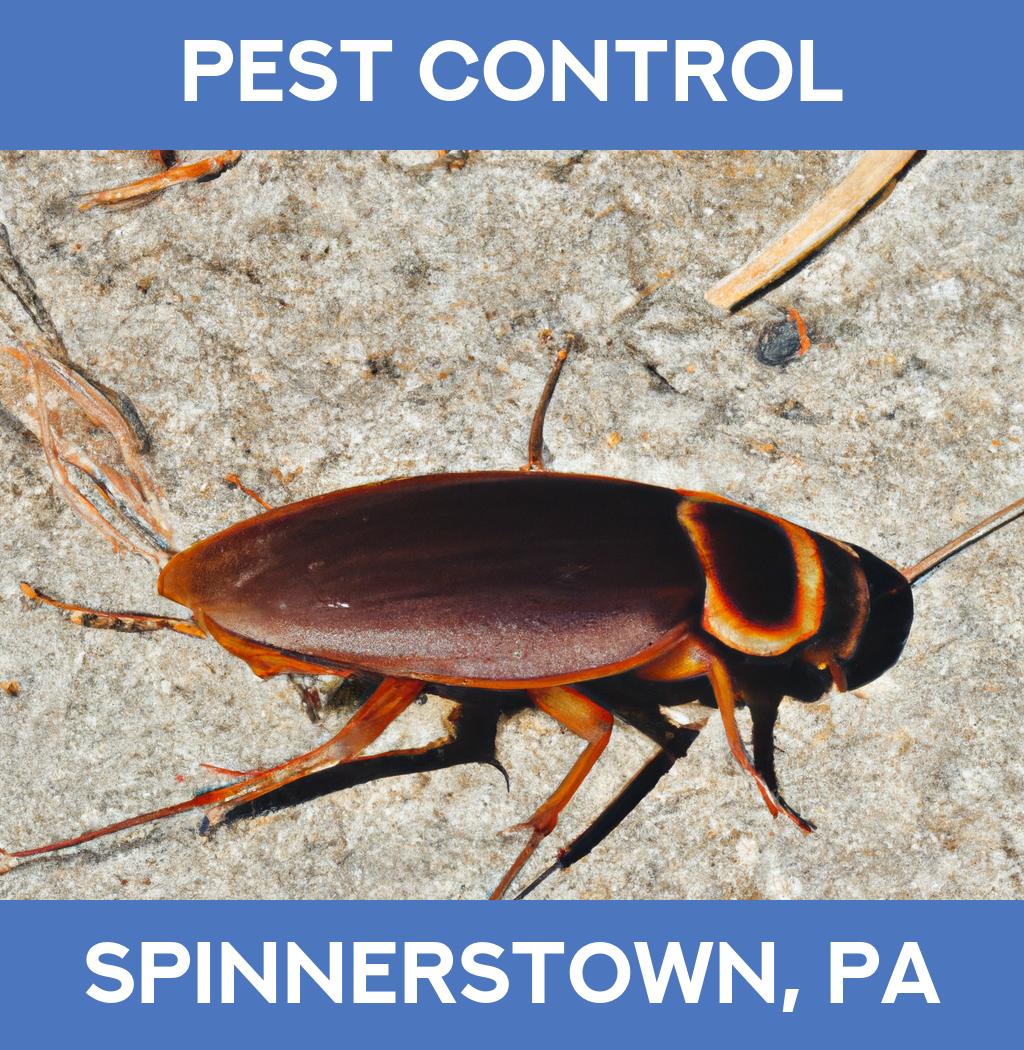 pest control in Spinnerstown Pennsylvania