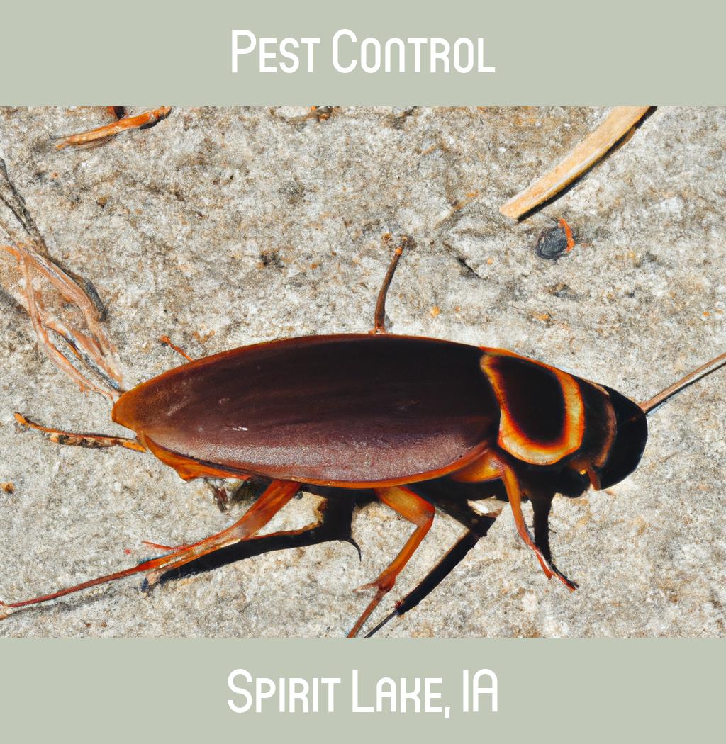 pest control in Spirit Lake Iowa