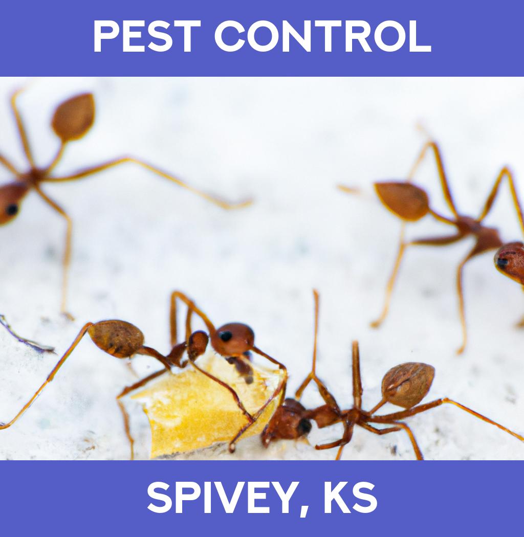 pest control in Spivey Kansas