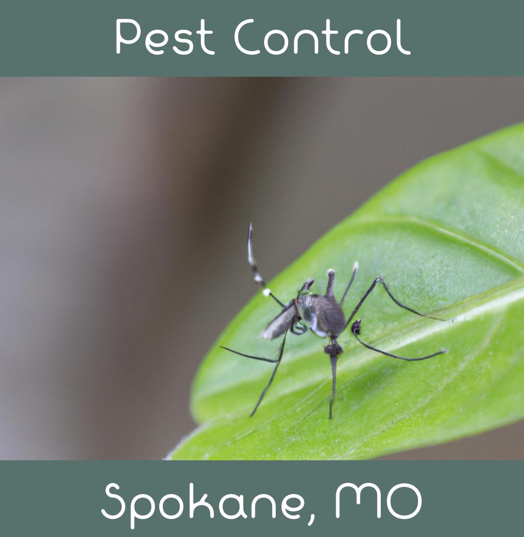 pest control in Spokane Missouri
