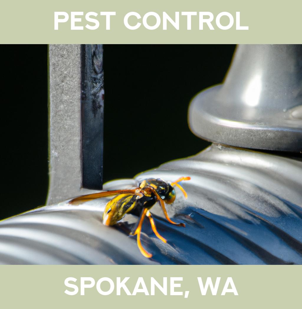 pest control in Spokane Washington