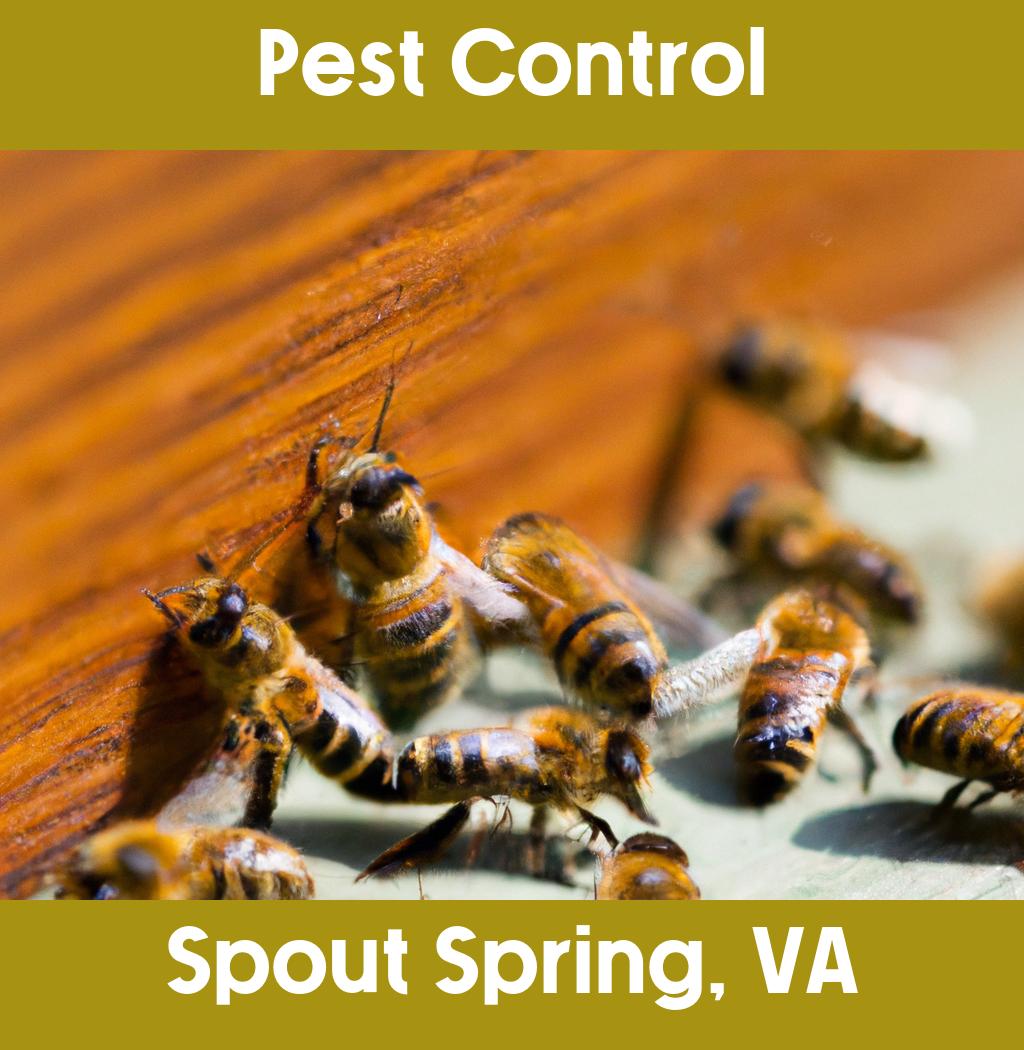 pest control in Spout Spring Virginia