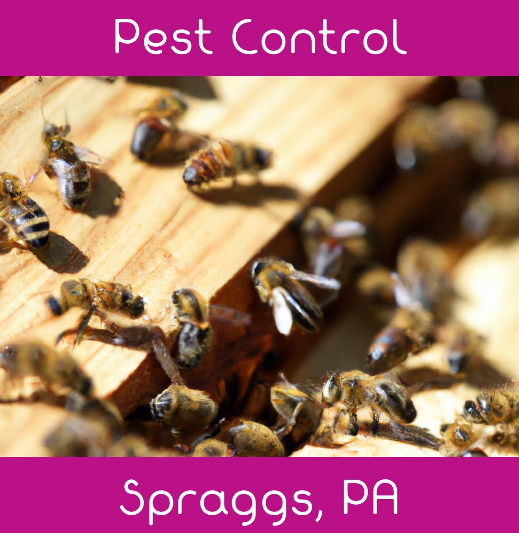 pest control in Spraggs Pennsylvania