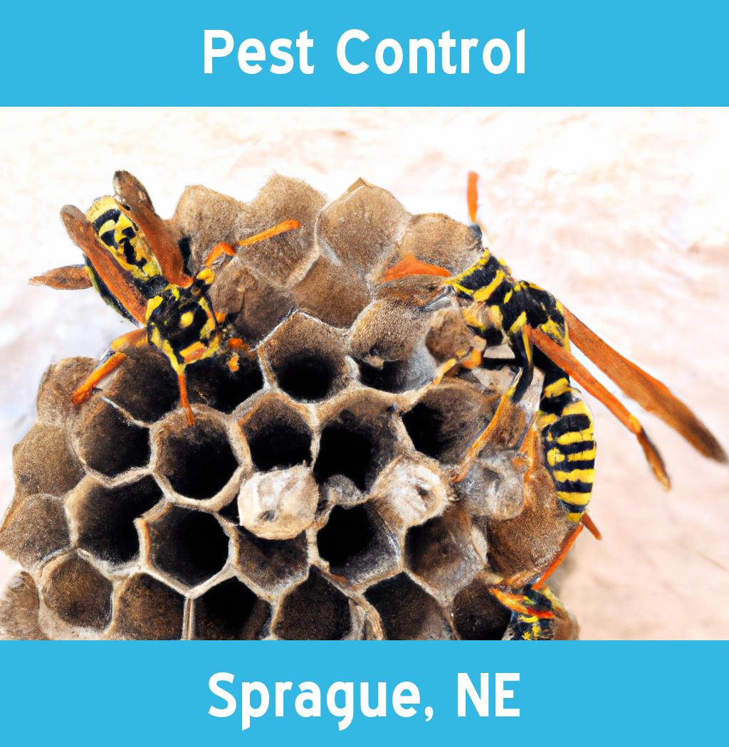 pest control in Sprague Nebraska