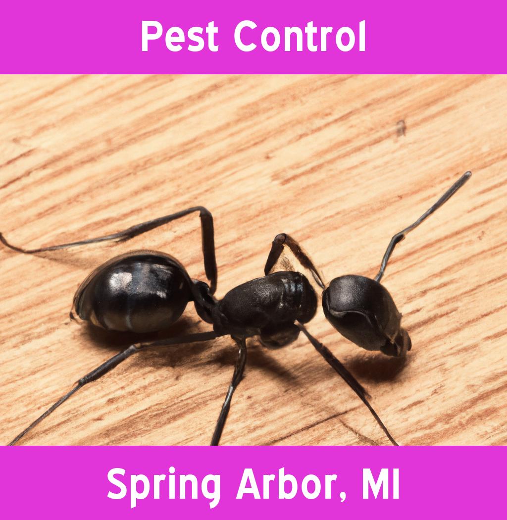 pest control in Spring Arbor Michigan