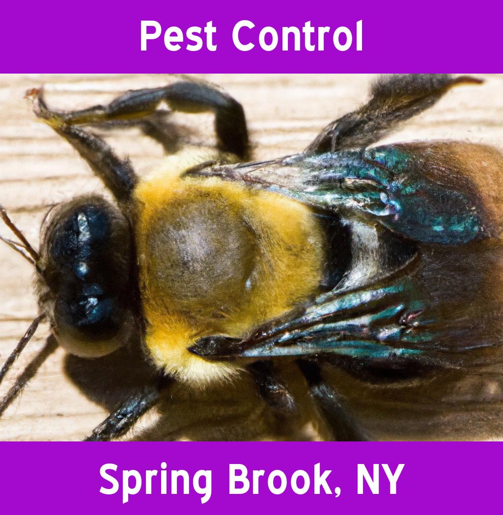 pest control in Spring Brook New York