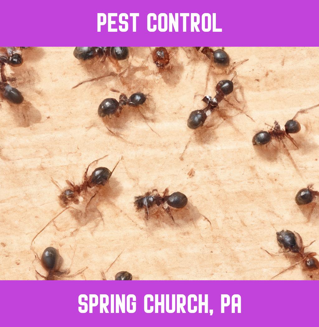 pest control in Spring Church Pennsylvania