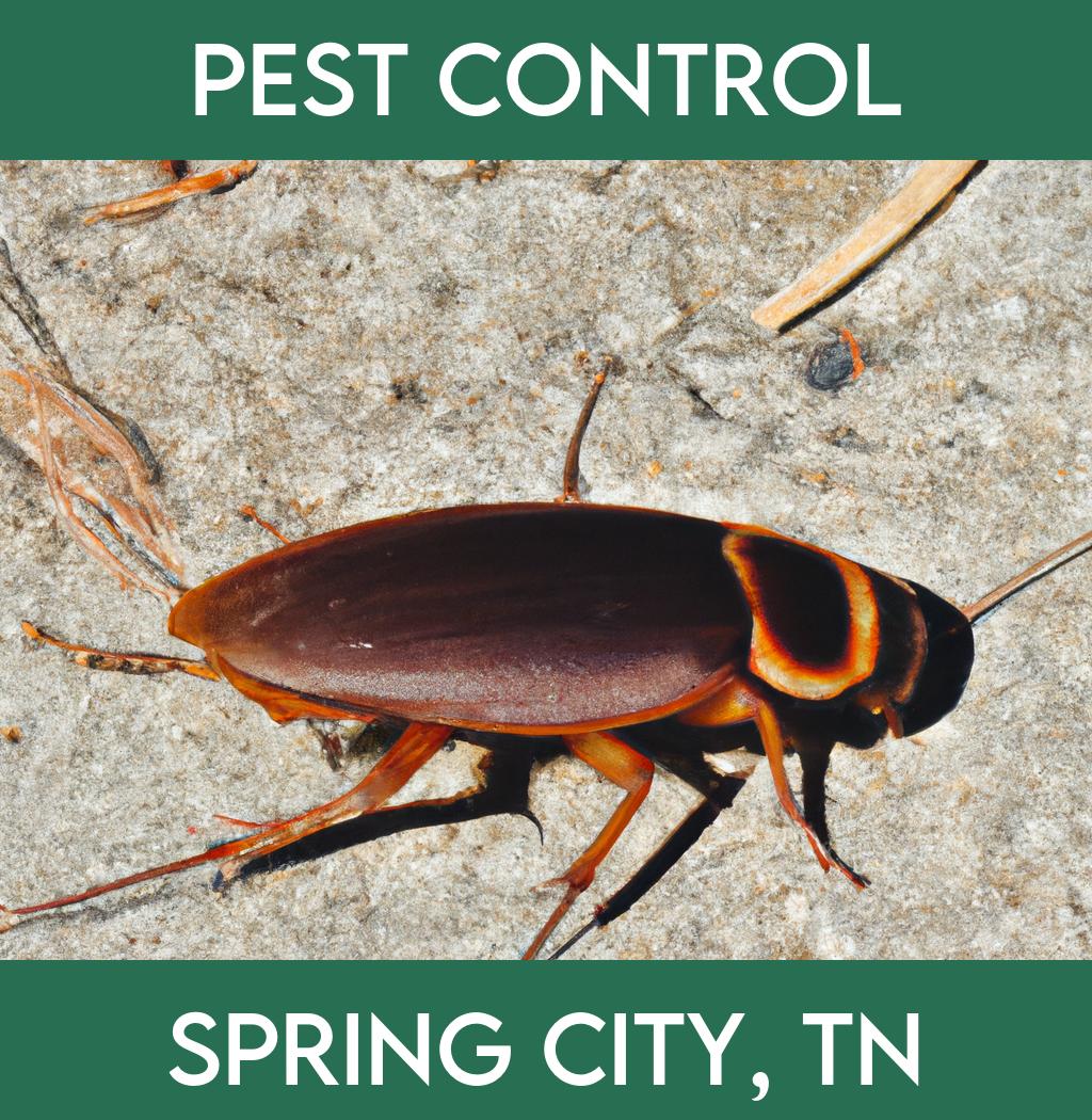 pest control in Spring City Tennessee