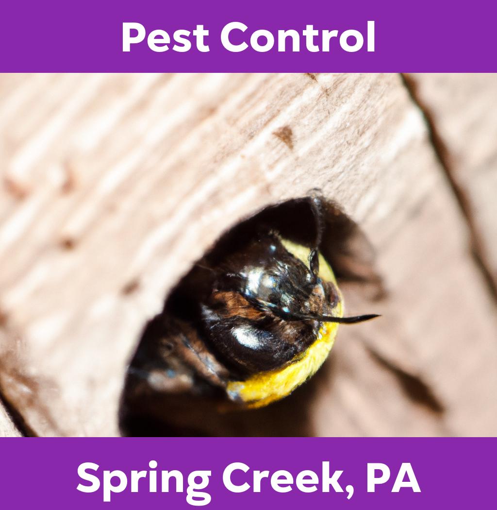 pest control in Spring Creek Pennsylvania