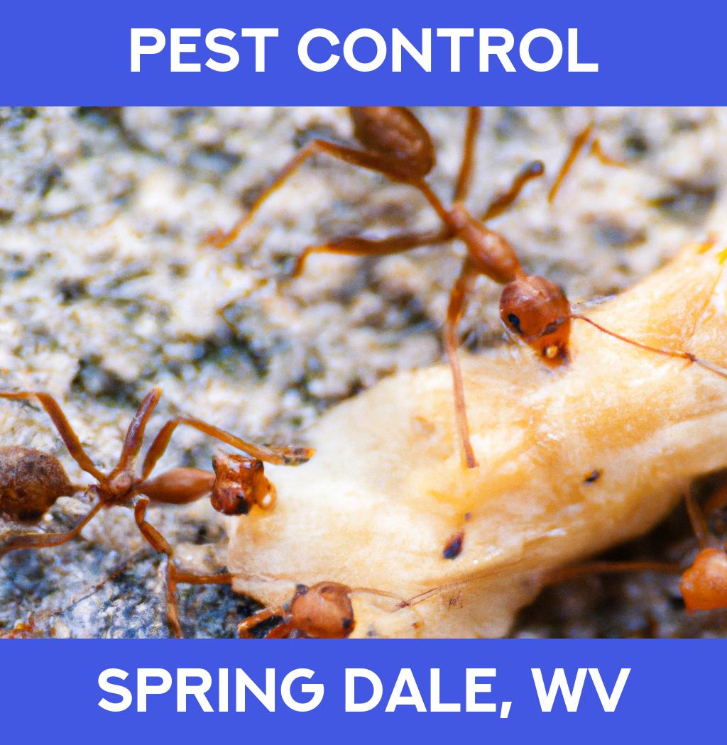 pest control in Spring Dale West Virginia