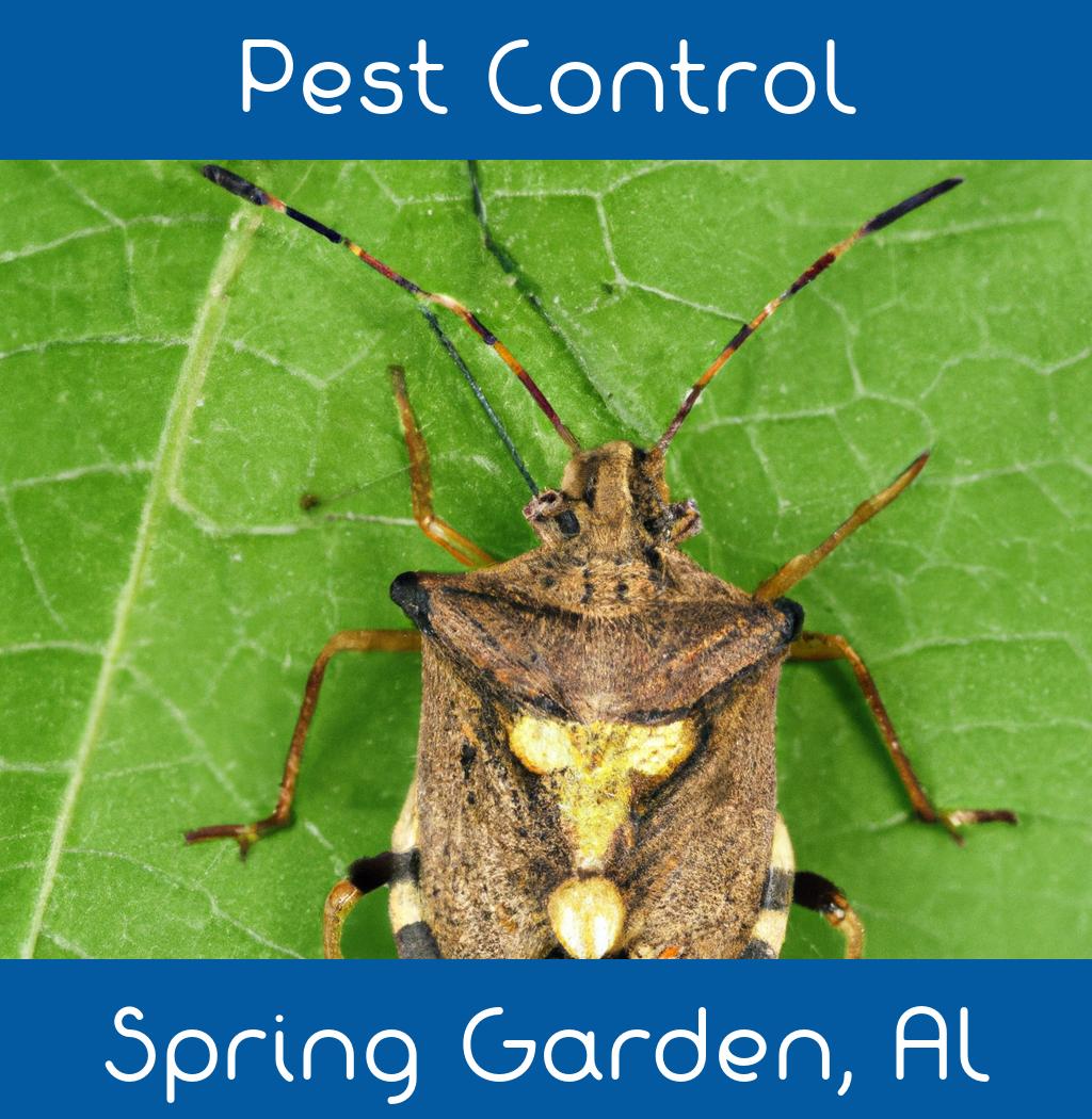 pest control in Spring Garden Alabama