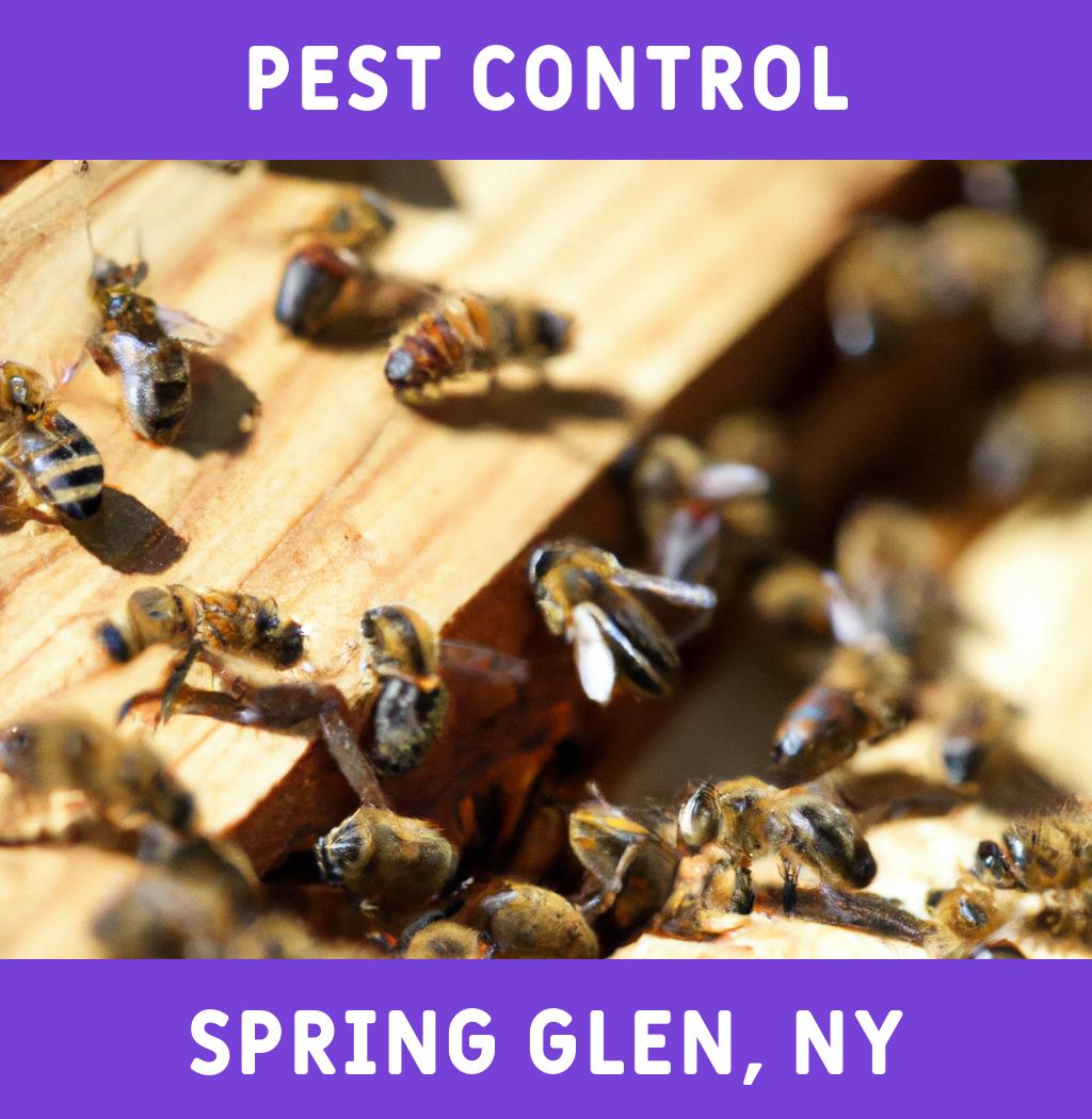 pest control in Spring Glen New York
