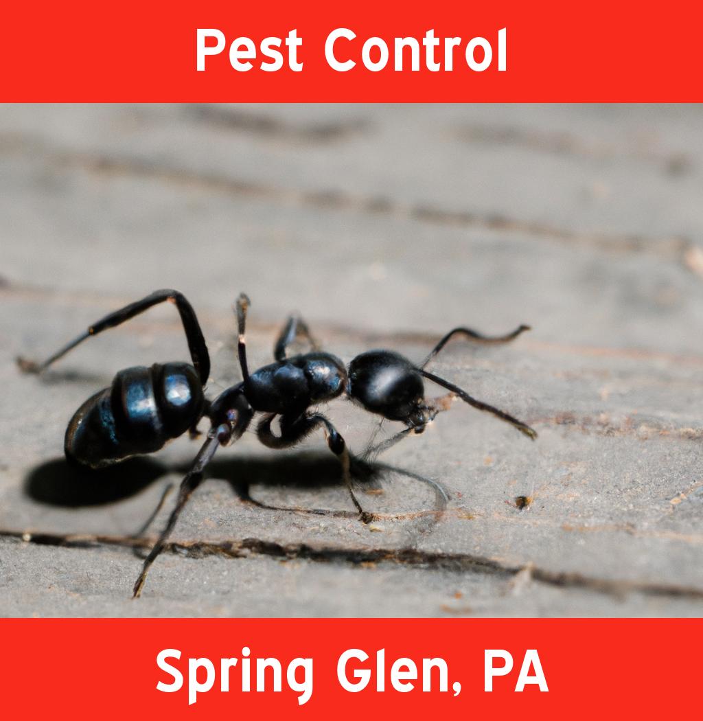pest control in Spring Glen Pennsylvania