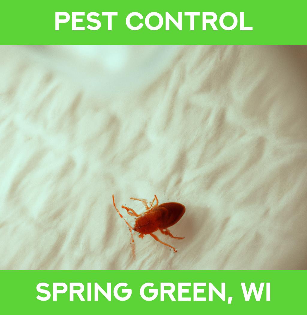pest control in Spring Green Wisconsin