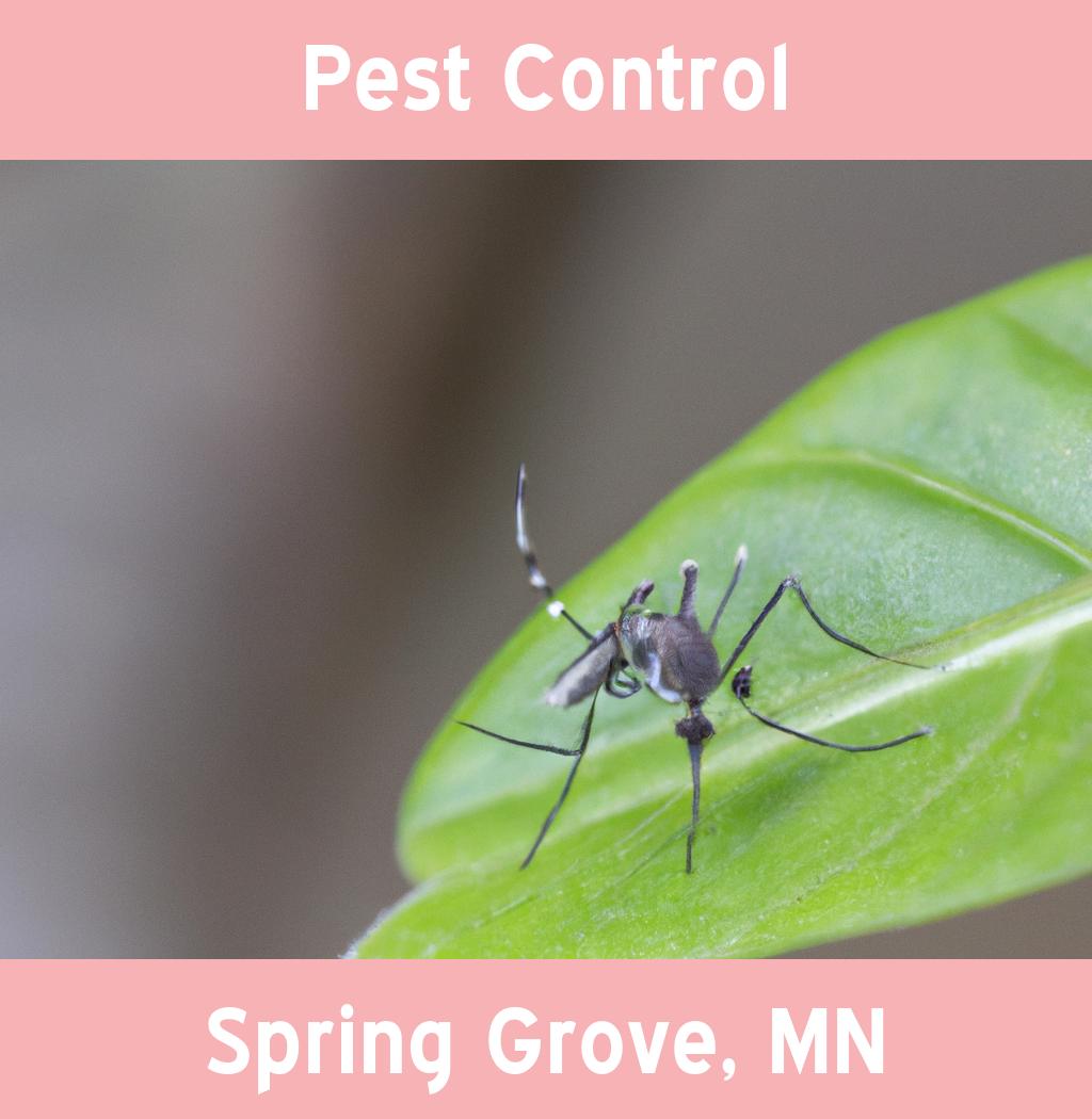 pest control in Spring Grove Minnesota