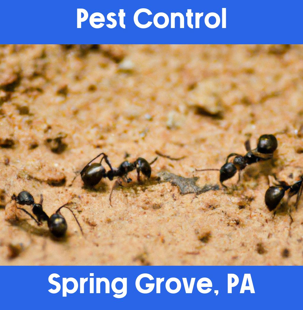 pest control in Spring Grove Pennsylvania