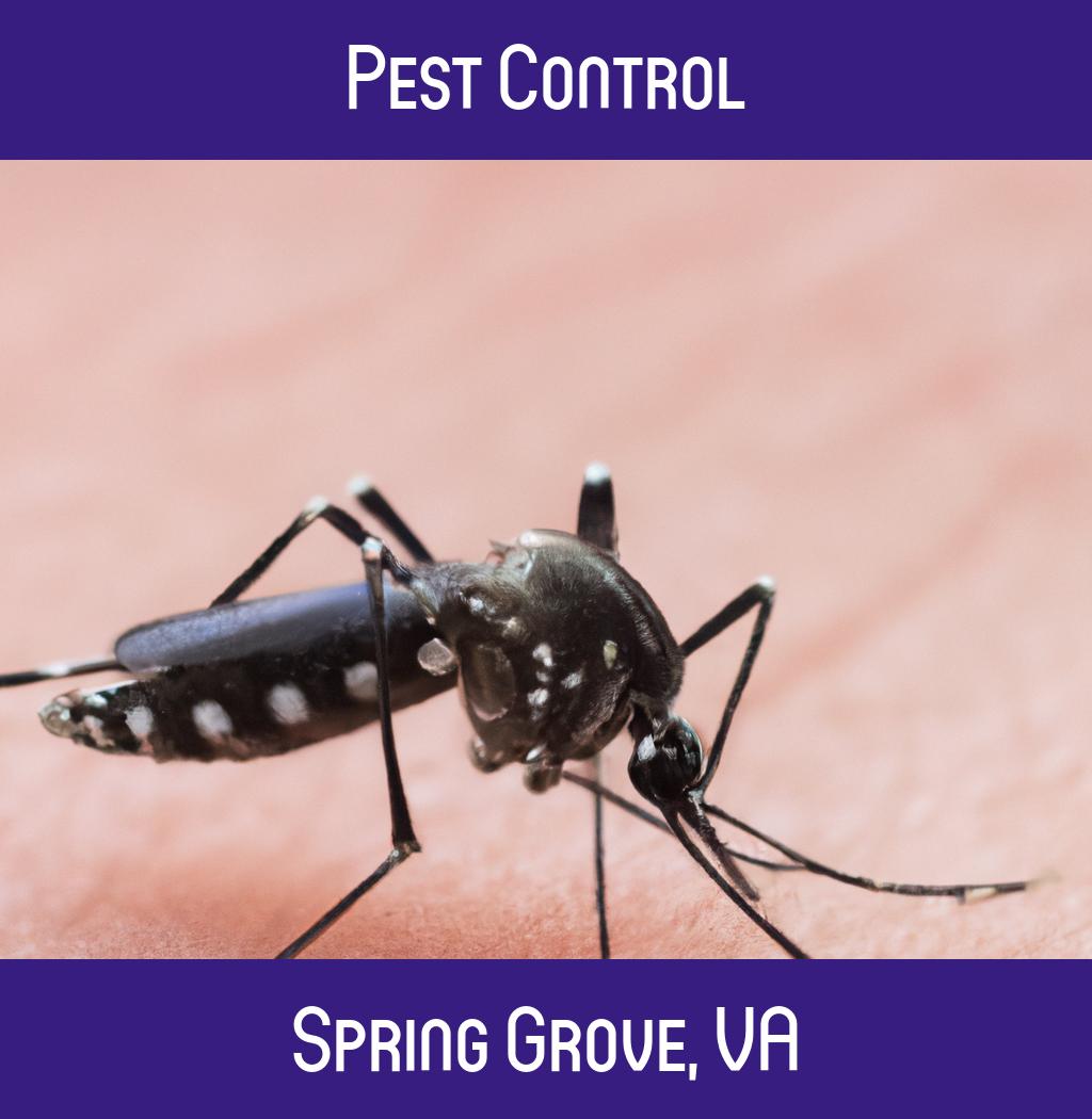 pest control in Spring Grove Virginia