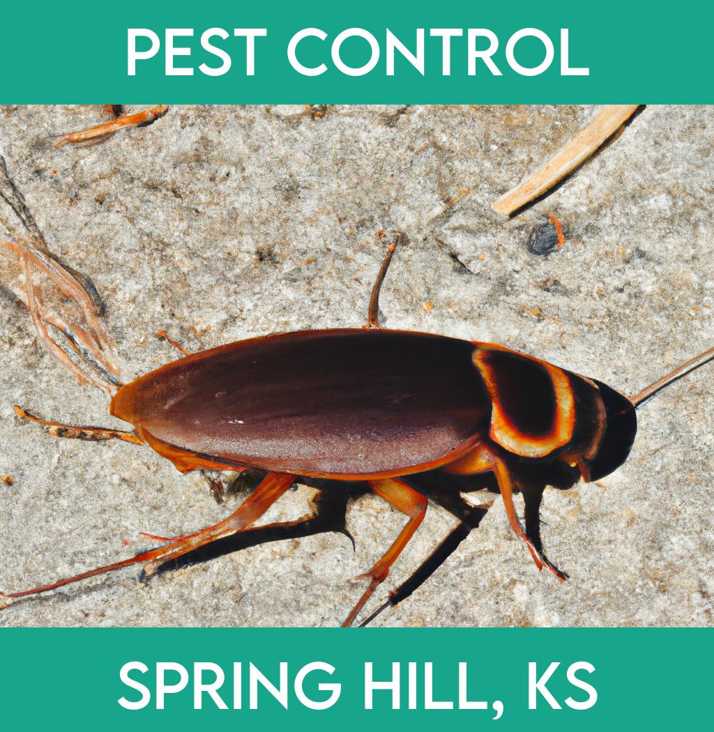 pest control in Spring Hill Kansas