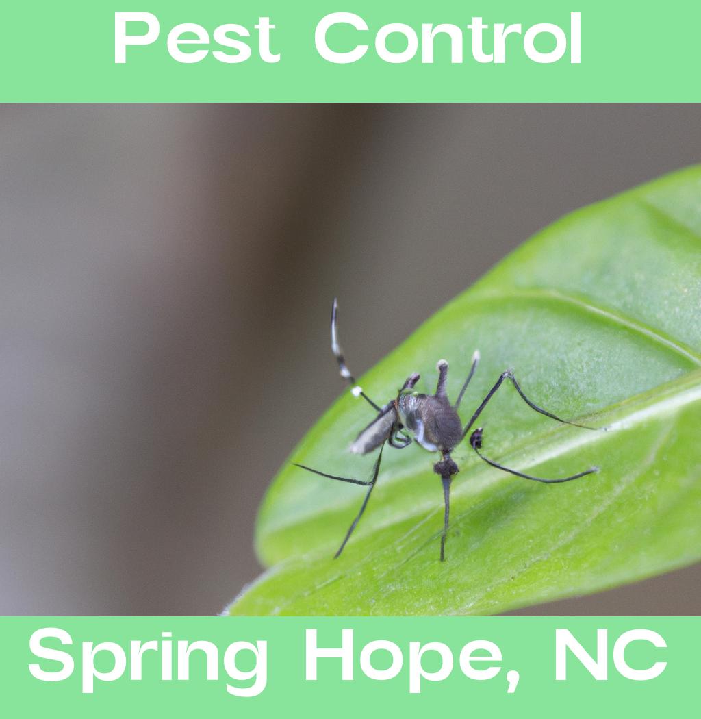 pest control in Spring Hope North Carolina