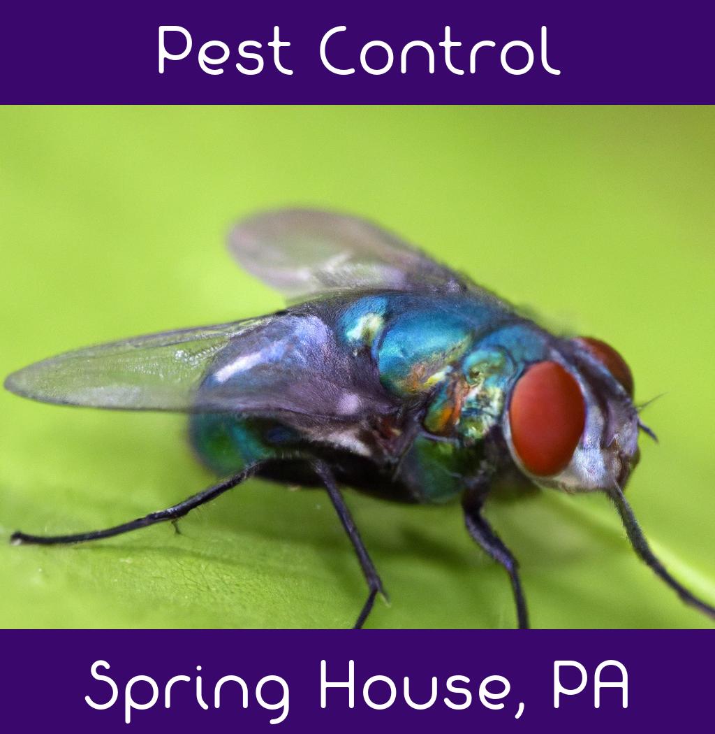 pest control in Spring House Pennsylvania