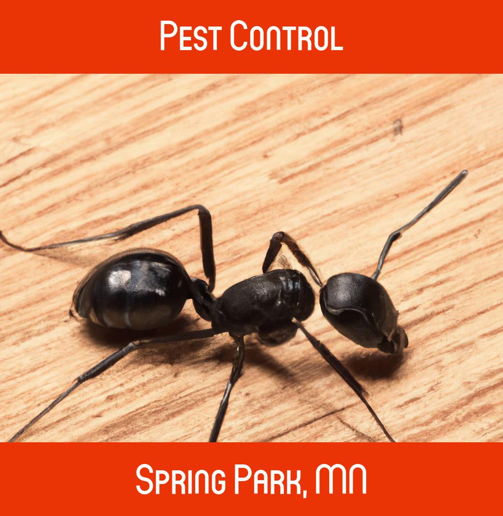pest control in Spring Park Minnesota
