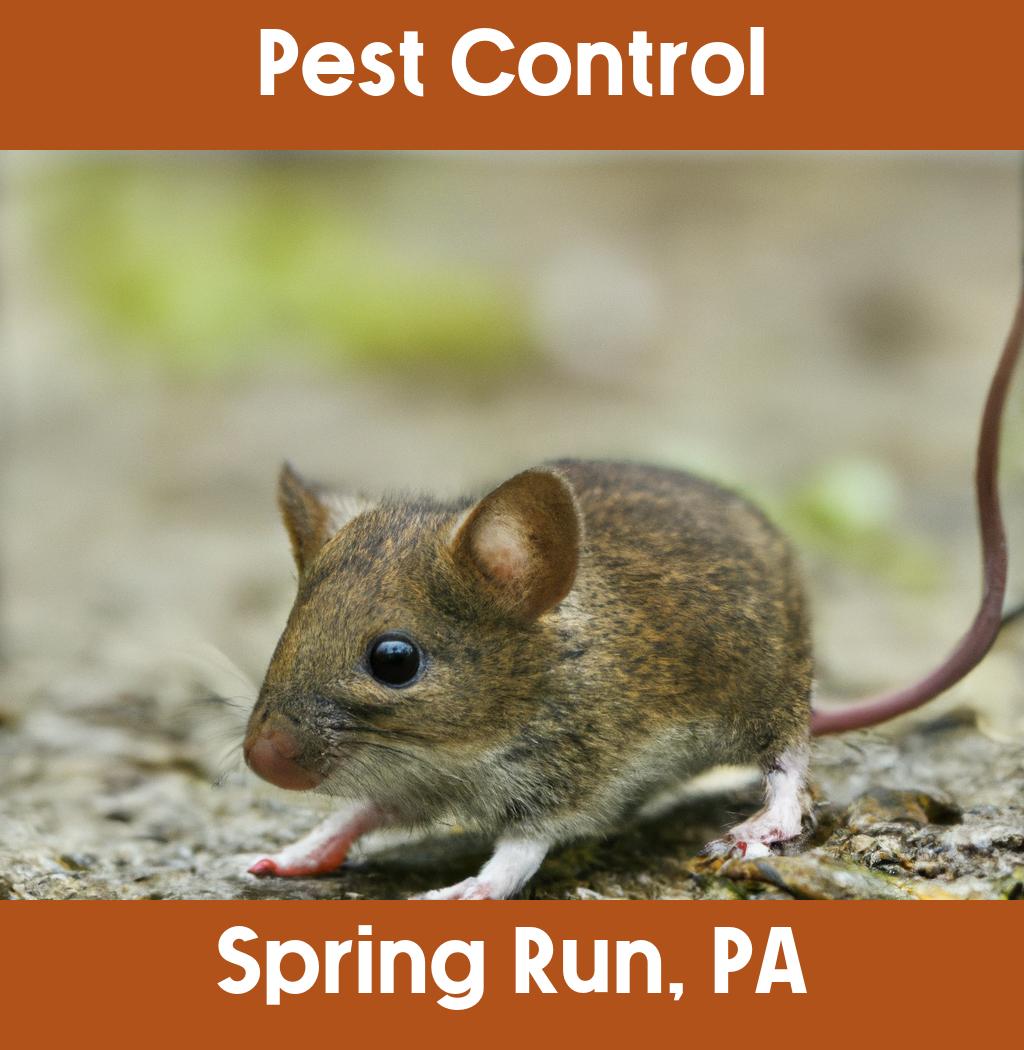 pest control in Spring Run Pennsylvania