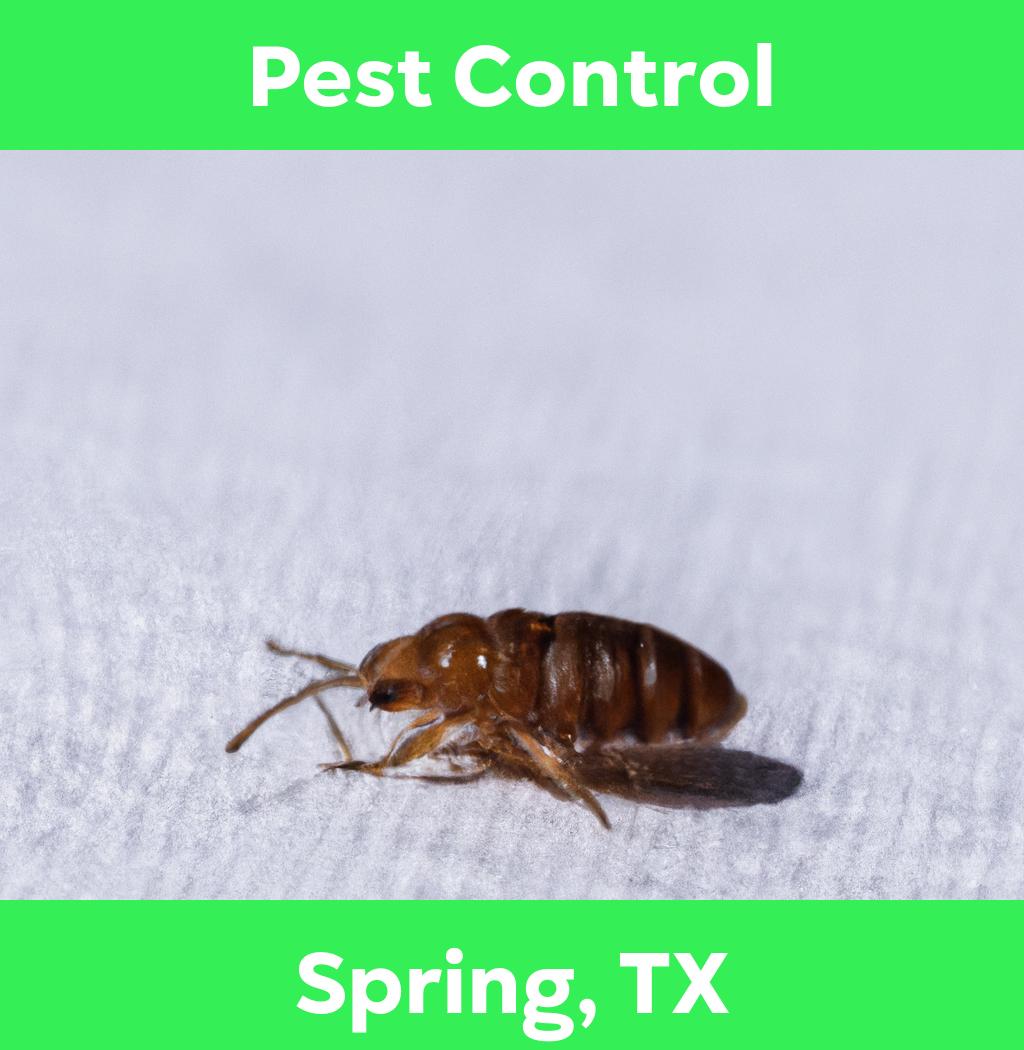 pest control in Spring Texas